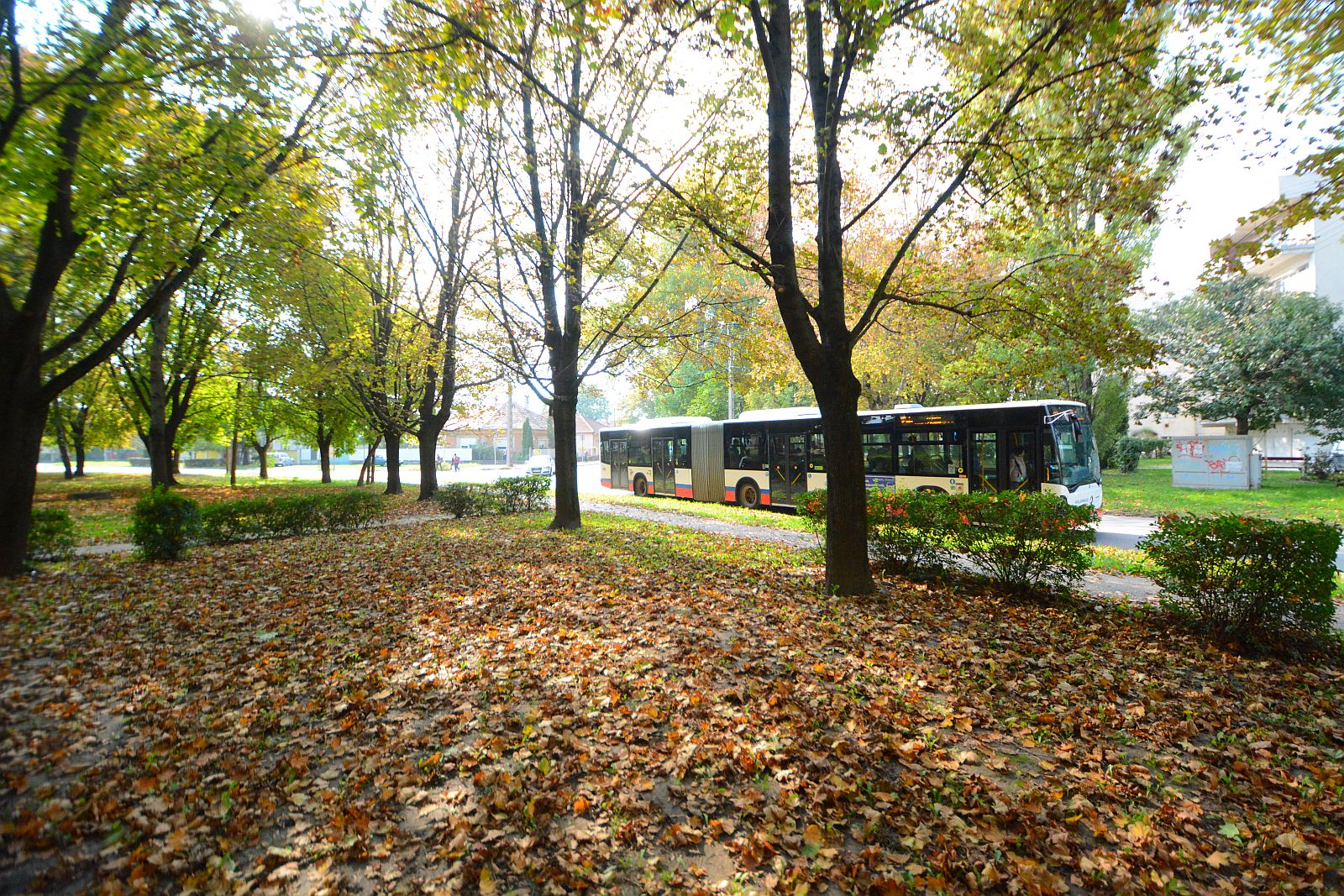 Járatkimaradások lesznek kedden délután a helyi közösségi közlekedésben